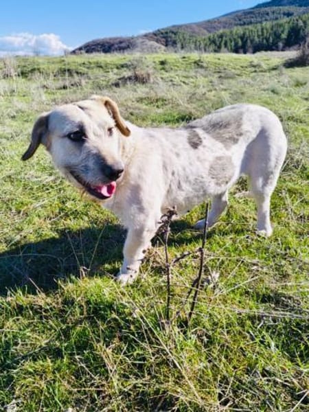 Irma ein sehr sozial und freundlich