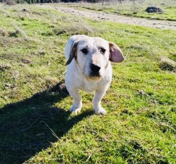 Irma ein sehr sozial und freundlich