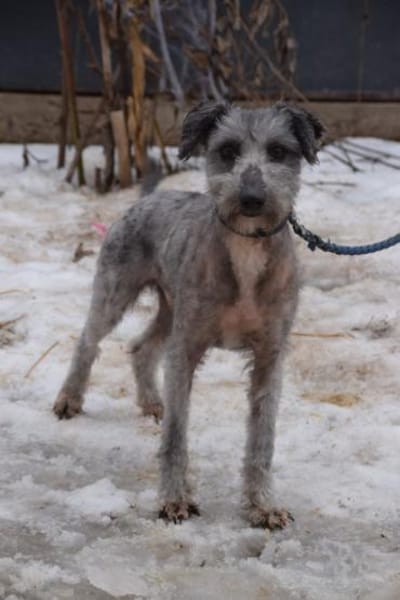 Vinnie - vorsichtig & freundlich