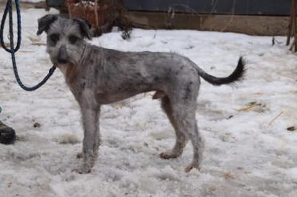 Vinnie - vorsichtig & freundlich