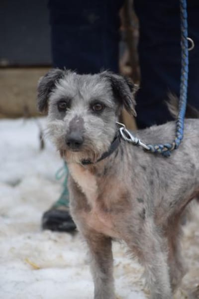 Vinnie - vorsichtig & freundlich