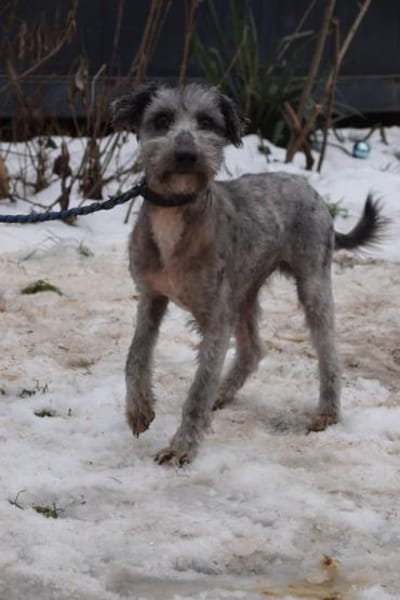 Vinnie - vorsichtig & freundlich