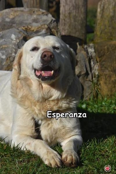 ESPERANZA