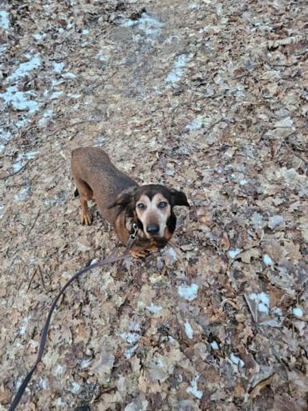 Wer hat ein ❤ für BEKA 🙏??