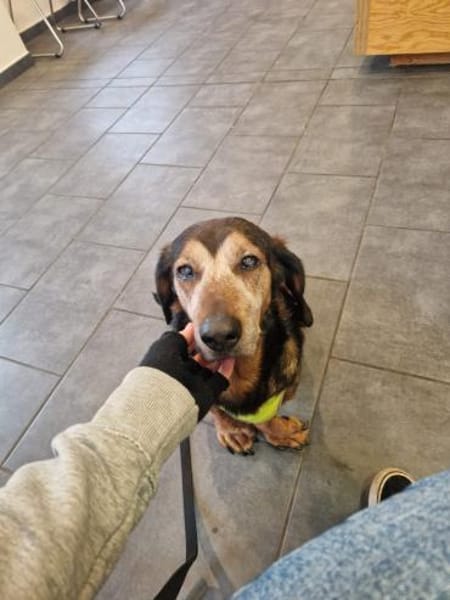 Wer hat ein ❤ für BEKA 🙏??