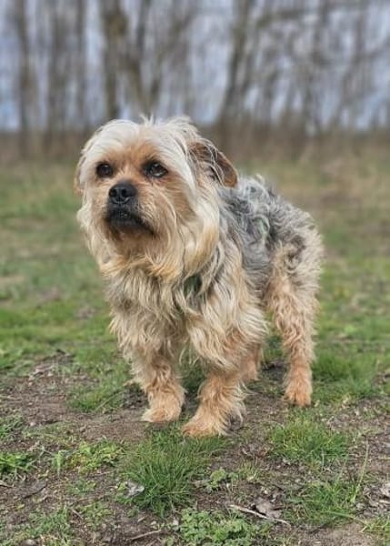 Nilo geht jedem Konflikt aus dem Weg