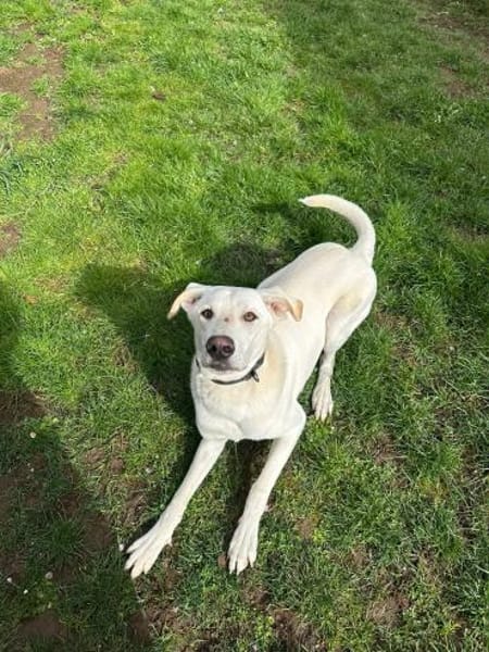 Lui sucht Menschen mit Erfahrung