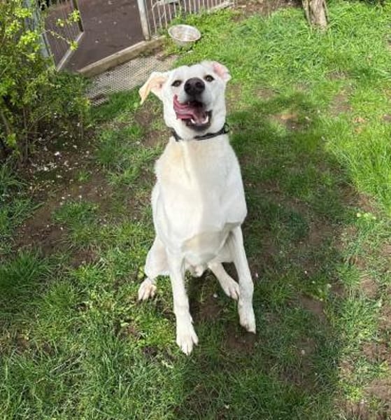 Lui sucht Menschen mit Erfahrung