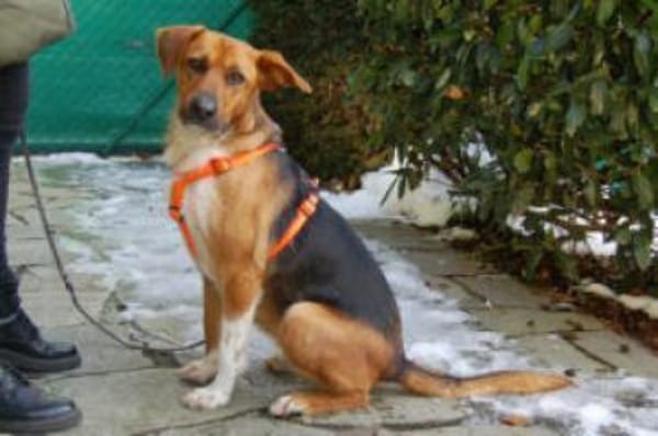 FRÄULEIN MOCCA - eine tolle Begleiterin