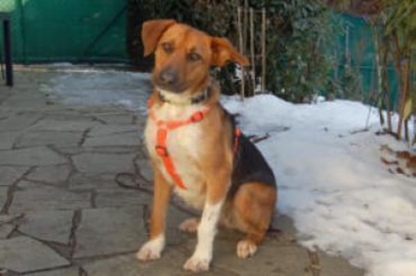 FRÄULEIN MOCCA - eine tolle Begleiterin