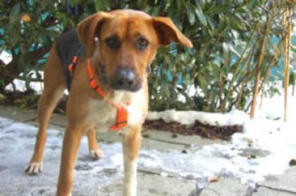 FRÄULEIN MOCCA - eine tolle Begleiterin