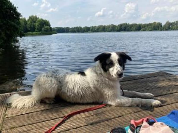 Lykke-aktiv+liebevolle wartet in 21244