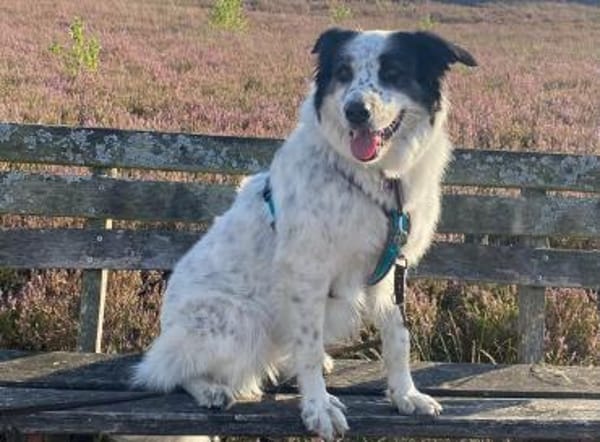 Lykke-aktiv+liebevolle wartet in 21244