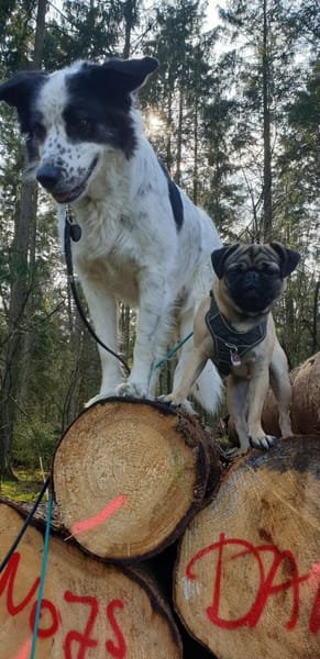 Lykke-aktiv+liebevolle wartet in 21244