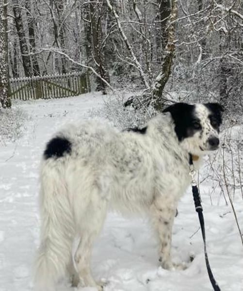 Lykke-aktiv+liebevolle wartet in 21244