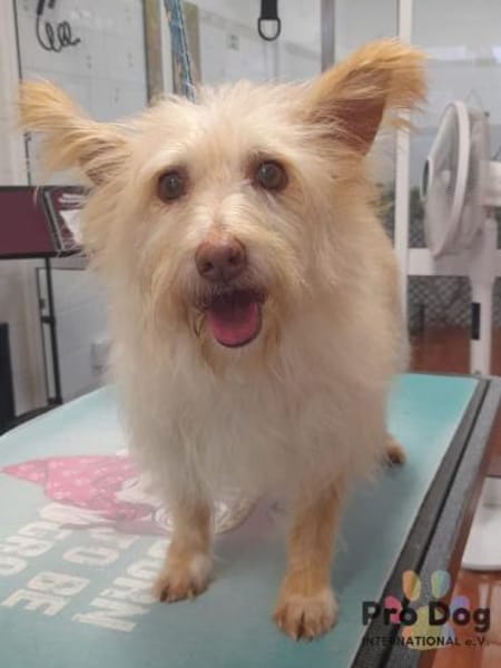 Mayim auf Pflegestelle