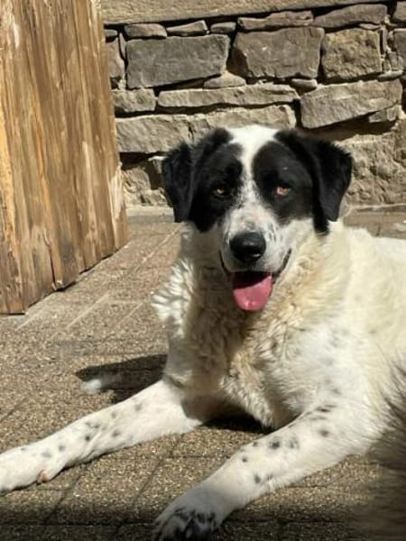 BETTO - tollpatschig und so verschmust