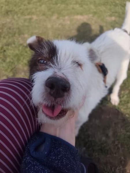 Amanda sucht ihren Lebensplatz...