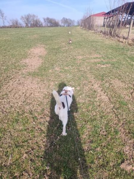 Amanda sucht ihren Lebensplatz...