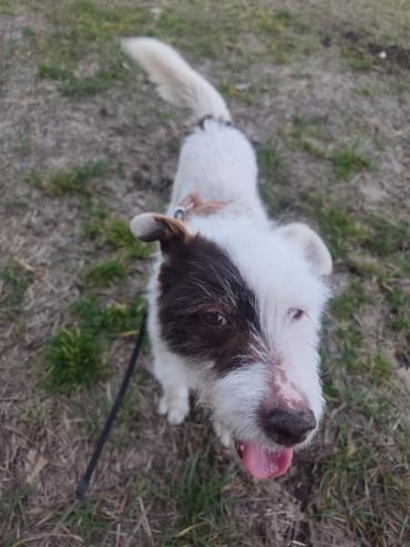 Amanda sucht ihren Lebensplatz...