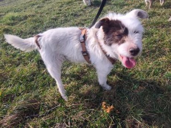 Amanda sucht ihren Lebensplatz...