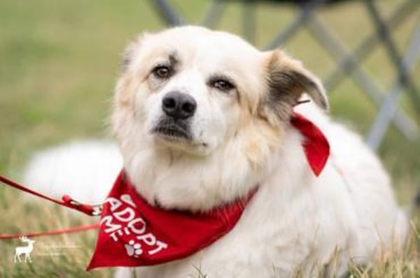 Lille - ein Sonnenschein