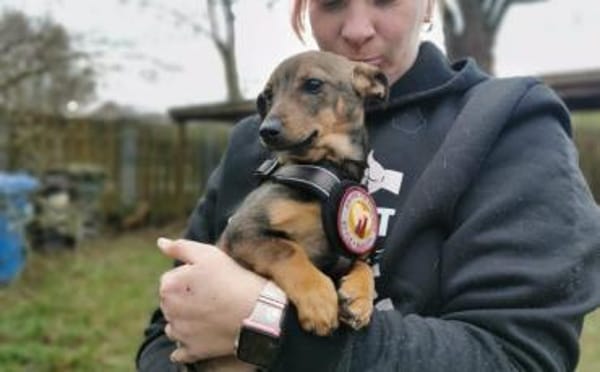 Kleine Soe sucht ein Zuhause