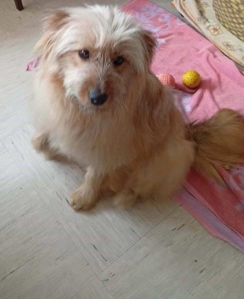 sehr liebe Dajana auf PS in 90473