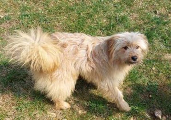 sehr liebe Dajana auf PS in 90473