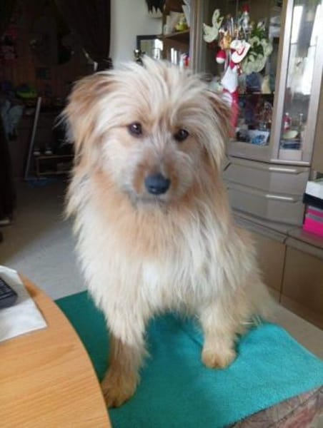 sehr liebe Dajana auf PS in 90473