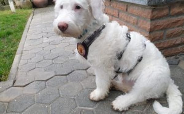 Withey ist bereit für sein neues Leben