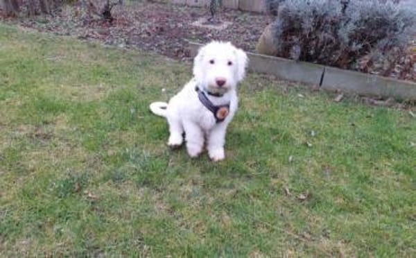 Withey ist bereit für sein neues Leben