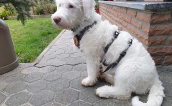 Withey ist bereit für sein neues Leben