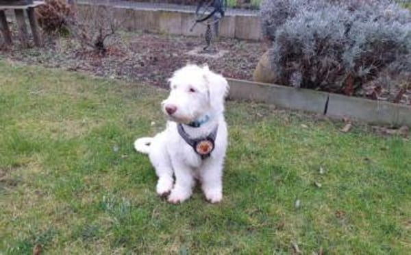 Withey ist bereit für sein neues Leben