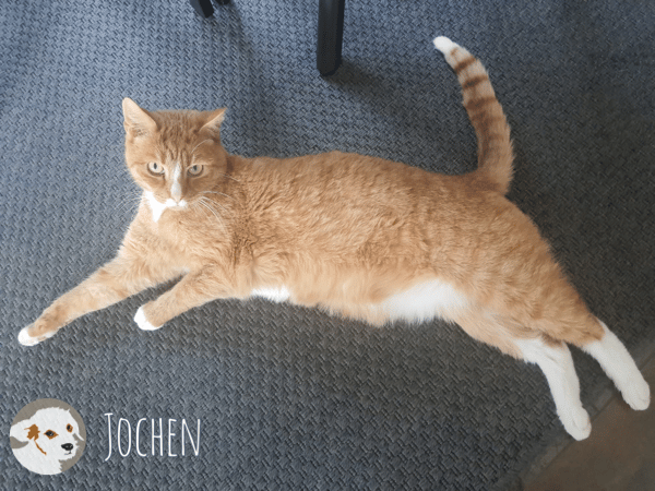 Jochen sucht ruhige gefühlvolle Menschen