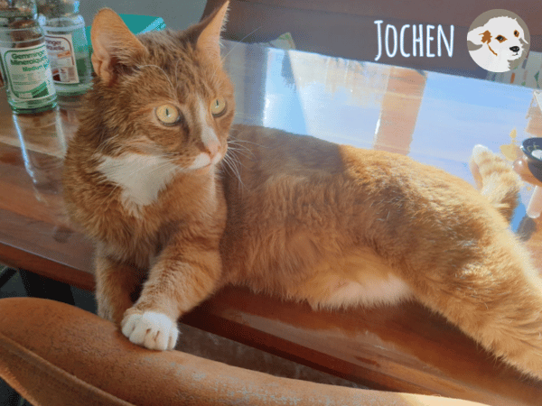 Jochen sucht ruhige gefühlvolle Menschen