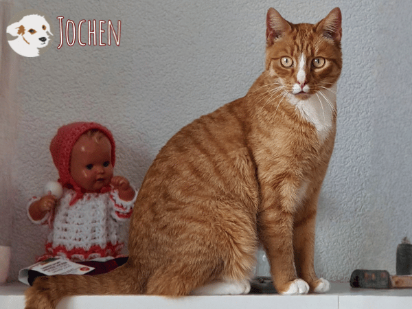 Jochen sucht ruhige gefühlvolle Menschen