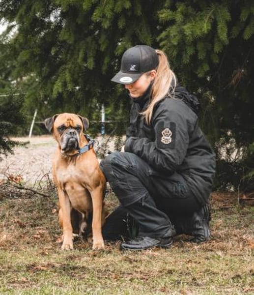 Maison - Boxerjunge möchte ankommen