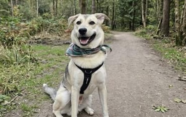 Lee sucht seine Menschen