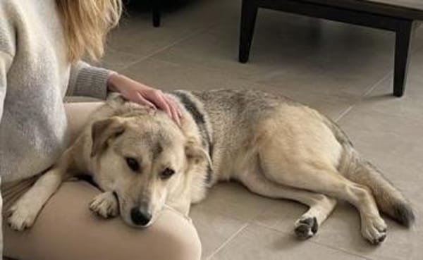 Lee sucht seine Menschen