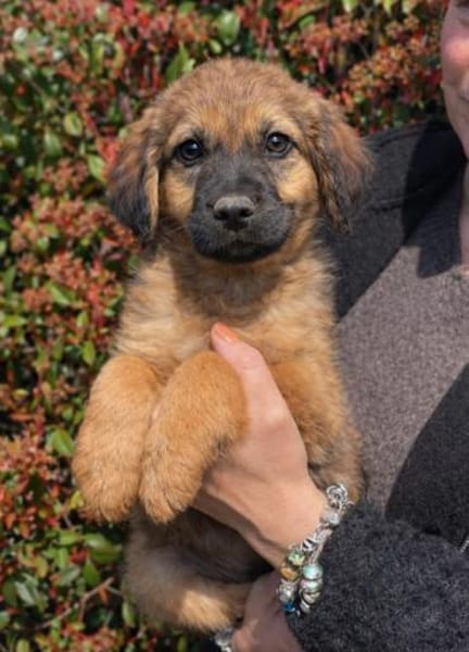 Ulisse, Zucker pur 🥰