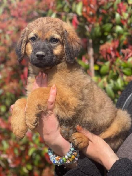 Ulisse, Zucker pur 🥰