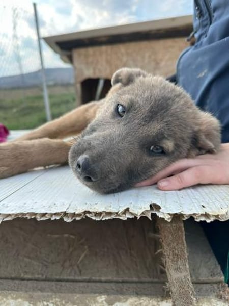 Xerox, süßer geht fast nicht