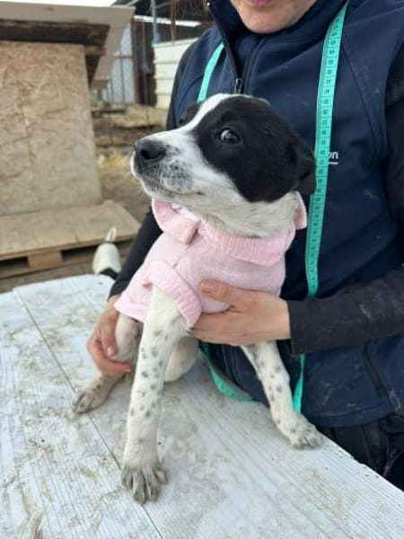 Xia, zuckersüß und liebenswert sucht ...