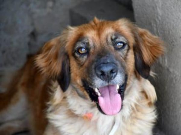 Lulu sucht engen Familienanschluss