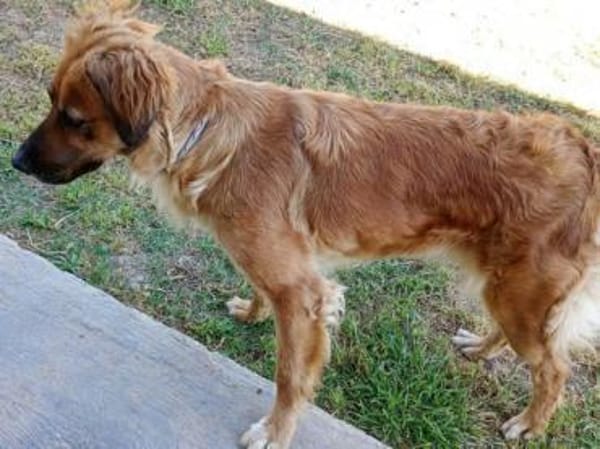 Lulu sucht engen Familienanschluss