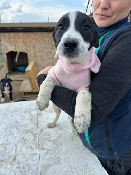 Xia, zuckersüß und liebenswert sucht ...