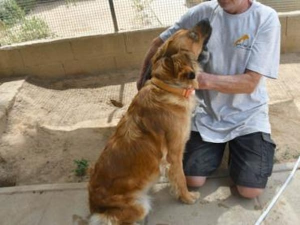 Lulu sucht engen Familienanschluss