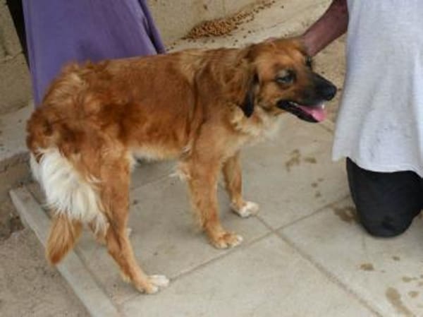 Lulu sucht engen Familienanschluss