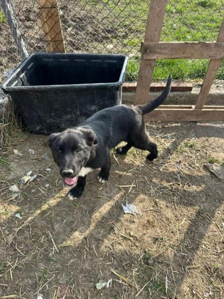 Woopy, suche zuverlässige Menschen